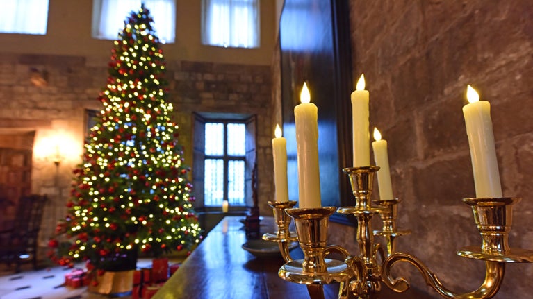 Candle in the foreground and Christmas tree in the background